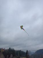 IMG20221204105606 (600x800).jpg